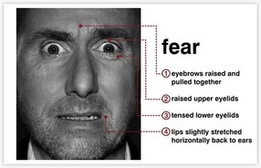 Fear and what it looks like